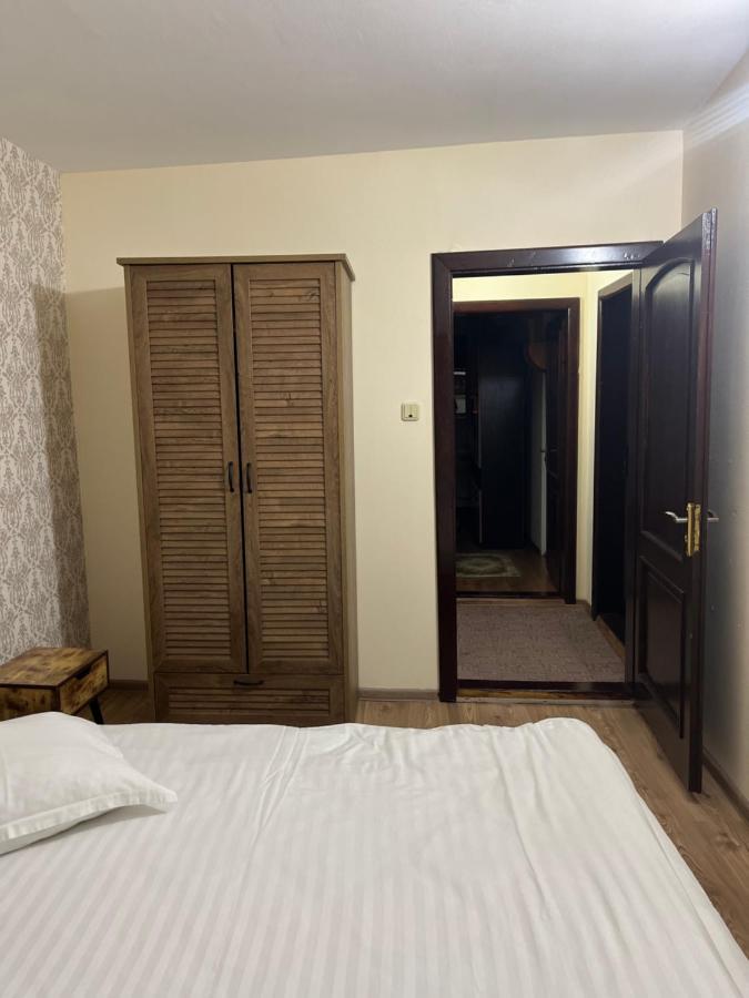 Hotel Pensiunea Diana Făgăraş Exterior foto